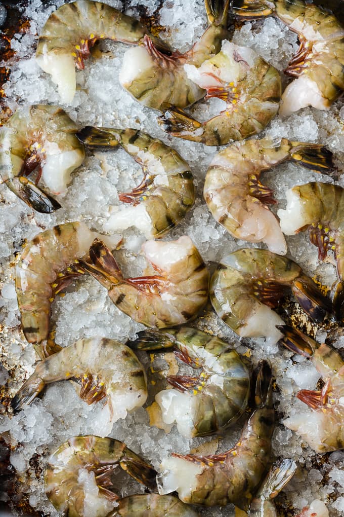 A baking sheet filled with crushed ice and topped with jumbo sized black tiger shrimp.