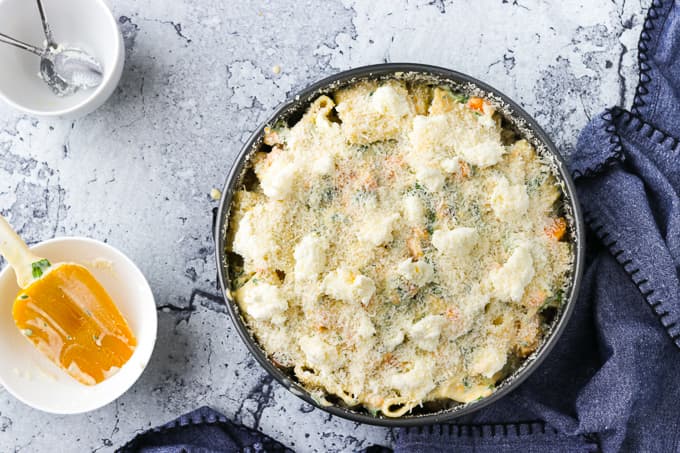 Assembled pasta and butternut squash recipe in a round springform pan.