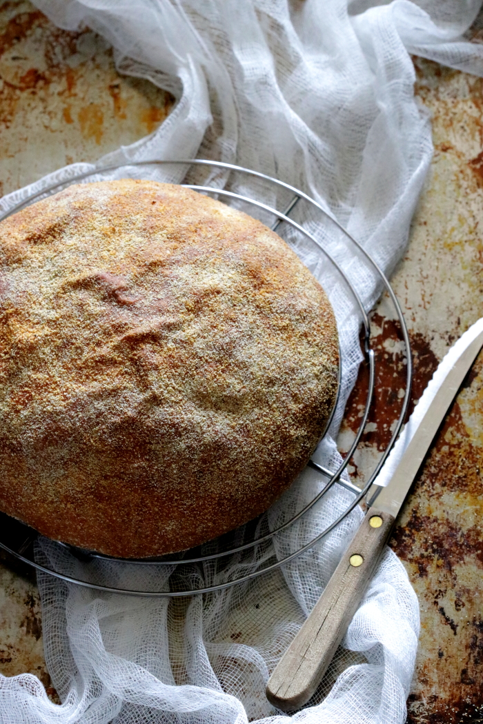 Polenta Ricotta Bread - Marisa's Italian Kitchen